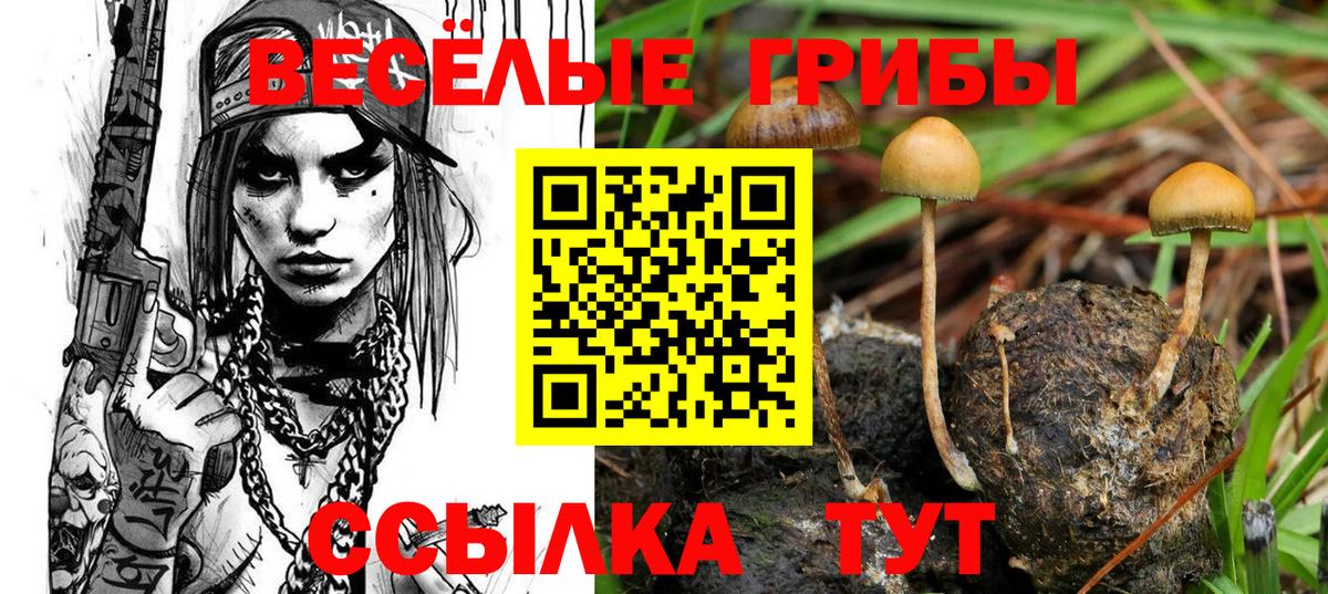 Псилоцибиновые грибы GOLDEN TEACHER  Вход с VPN  Псилоцибиновые грибы ЛСД  Ачинск 